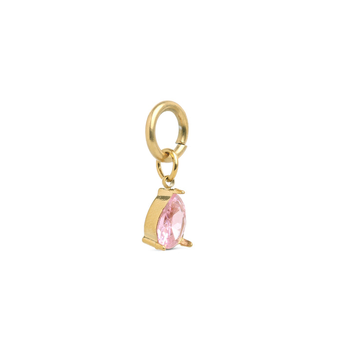Wren - Crystal Charm Rostfritt Stål