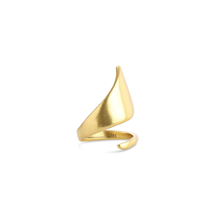 Ban - Sculptural Wrap Ring Stainless Steel