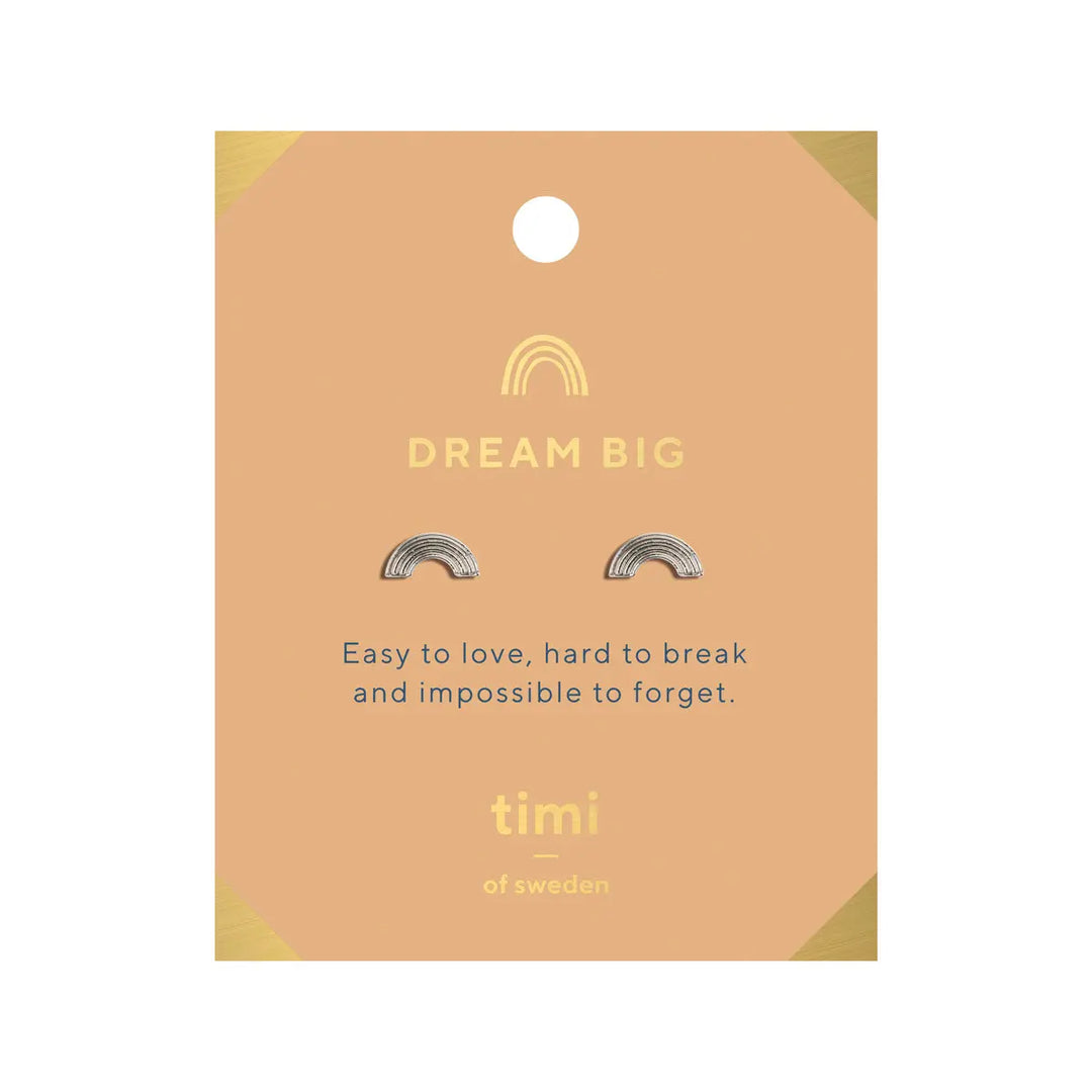 Dream Big Rainbow Earrings Silver