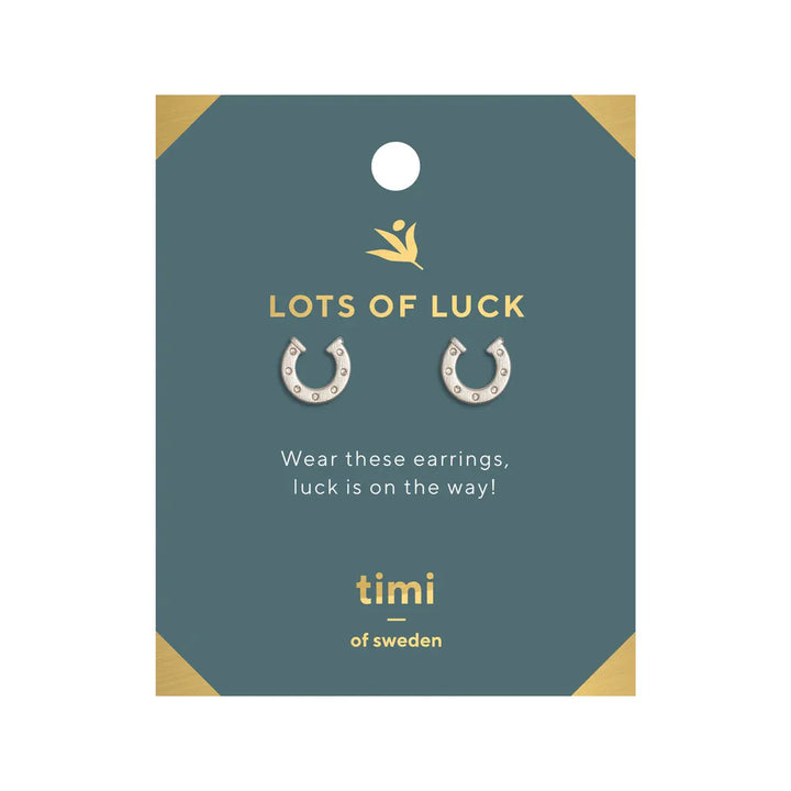 Lots of Luck Horse shoe Earrings Silver