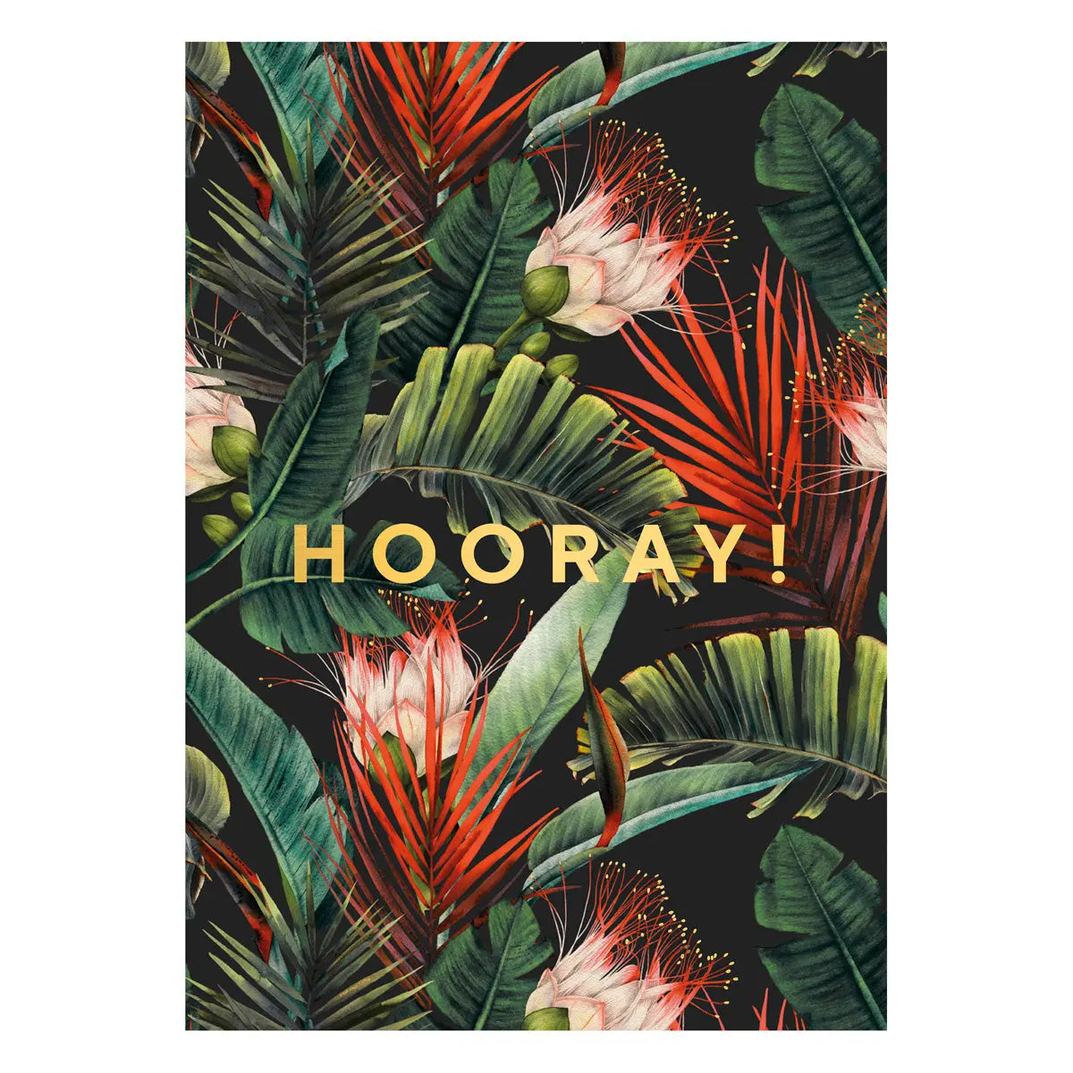 Hooray Dark Jungle Postcard